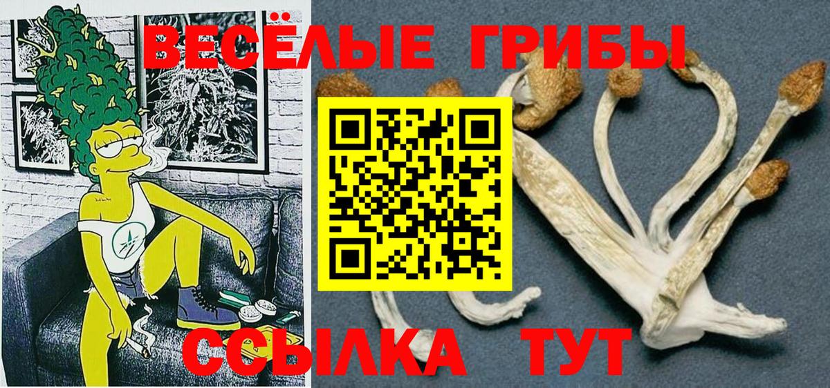 Галлюциногенные грибы Psilocybe  Вход с VPN  Южно-Сахалинск  Псилоцибиновые грибы GOLDEN TEACHER 